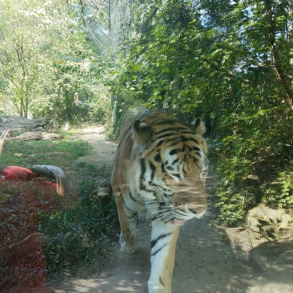 Meet your Posher, Sara - Picture 4 of 5